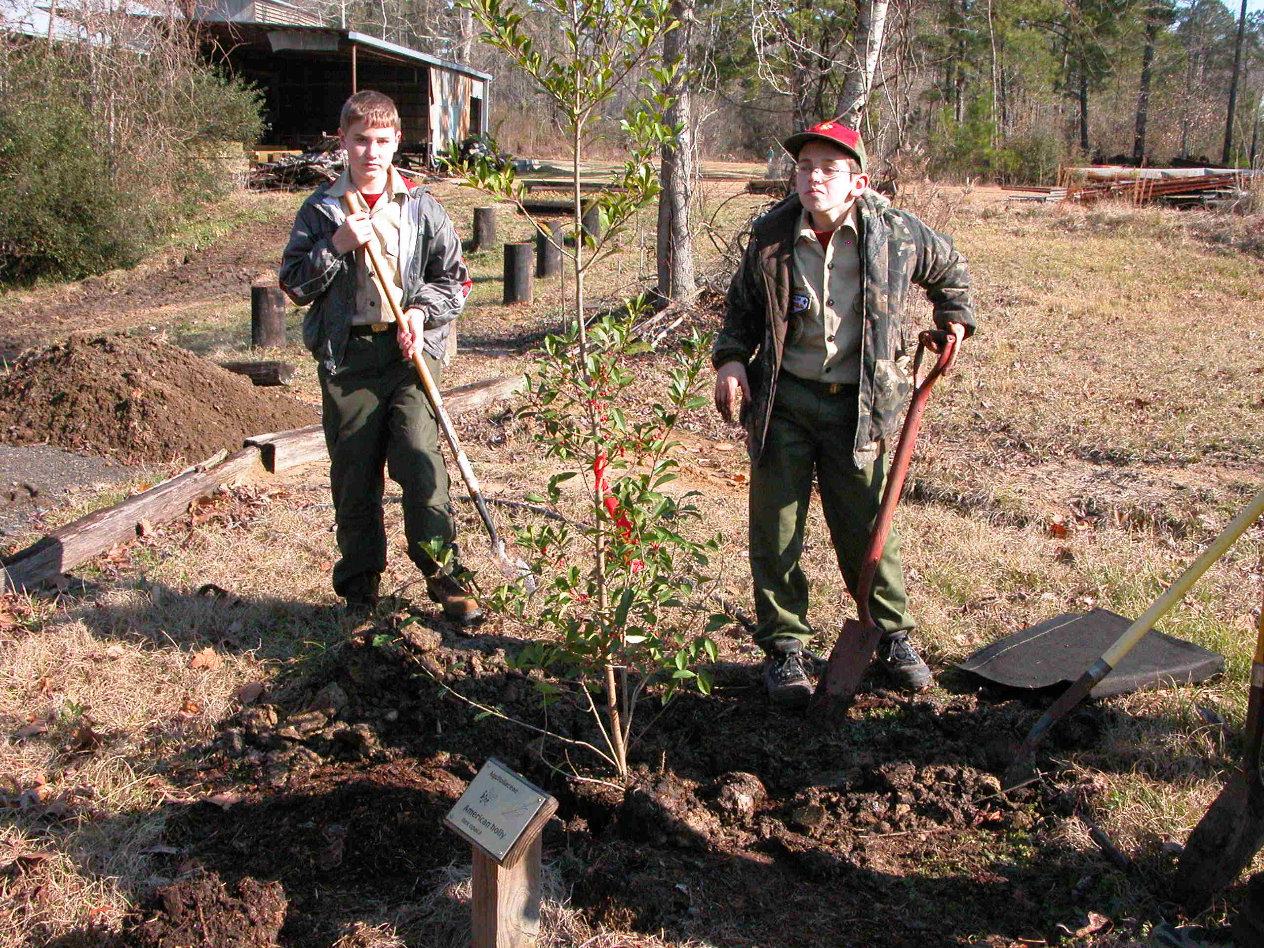 Arbor Day activities set for Jan. 20 at LSU AgCenter Botanic Gardens in Baton Rouge